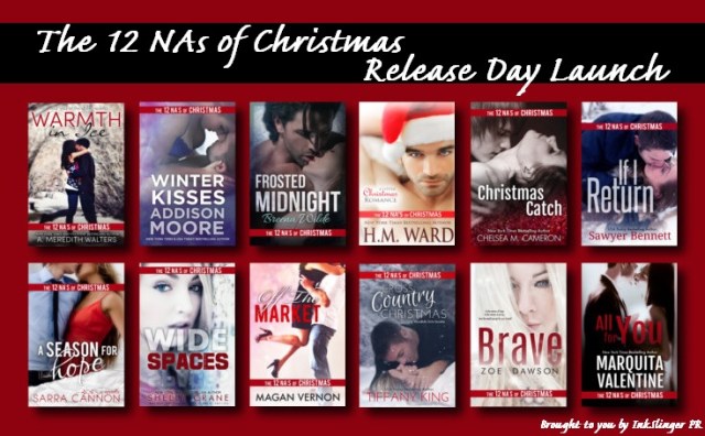 12 NAs of Christmas Banner