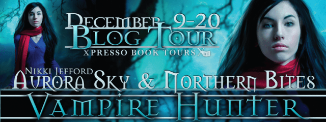 Vampire Hunter Tour Banner