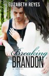 Breaking Brandon by Elizabeth Reyes
