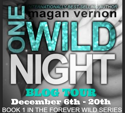One Wild Night Tour Banner