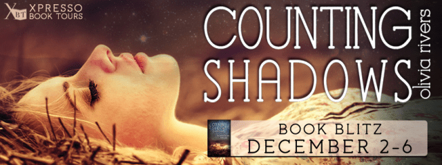 Counting Shadows Blitz Banner