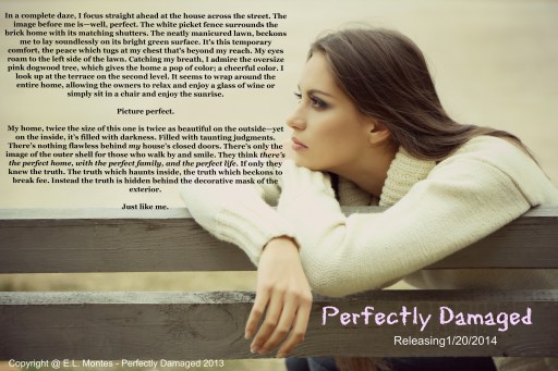 Perfectly Damaged Teaser 2