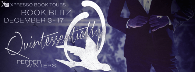 Quintessentially Q Blitz Banner