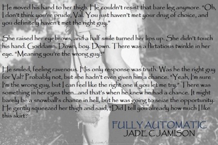 Fully Automatic Teaser Pic