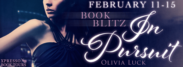 In Pursuit Blitz Banner