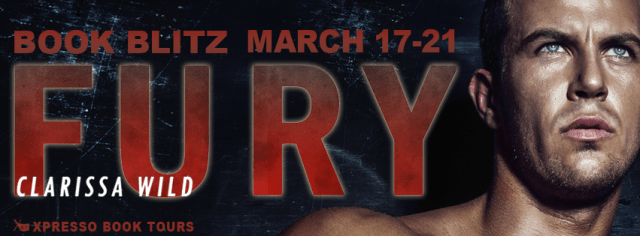 Fury Blitz Banner