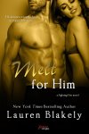 Melt for Him by Lauren Blakely