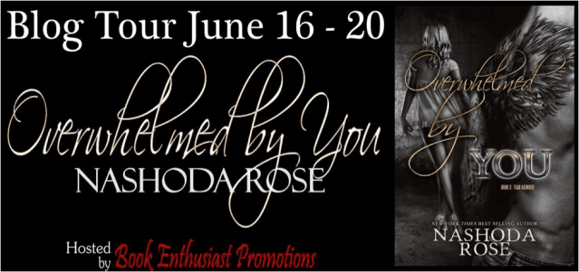 Overwhelmed by You tour banner