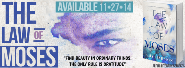 The Law of Moses banner