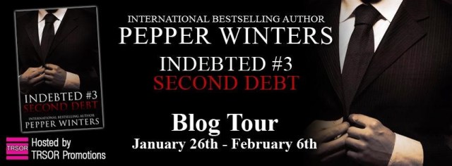 second debt tour banner
