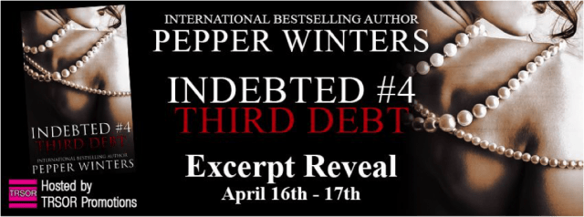 Third Debt excerpt banner