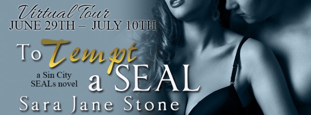 To Tempt a SEAL banner