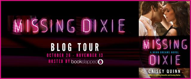 Missing Dixie Banner