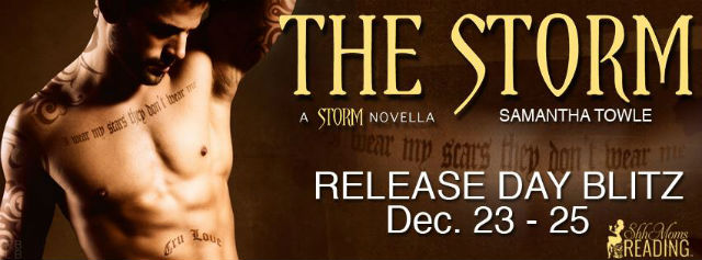 The Storm RDB banner